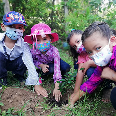 Cuidado del medio ambiente