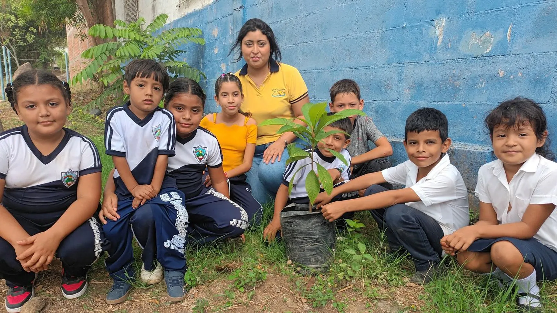 Fomento a la produccion alimentaria