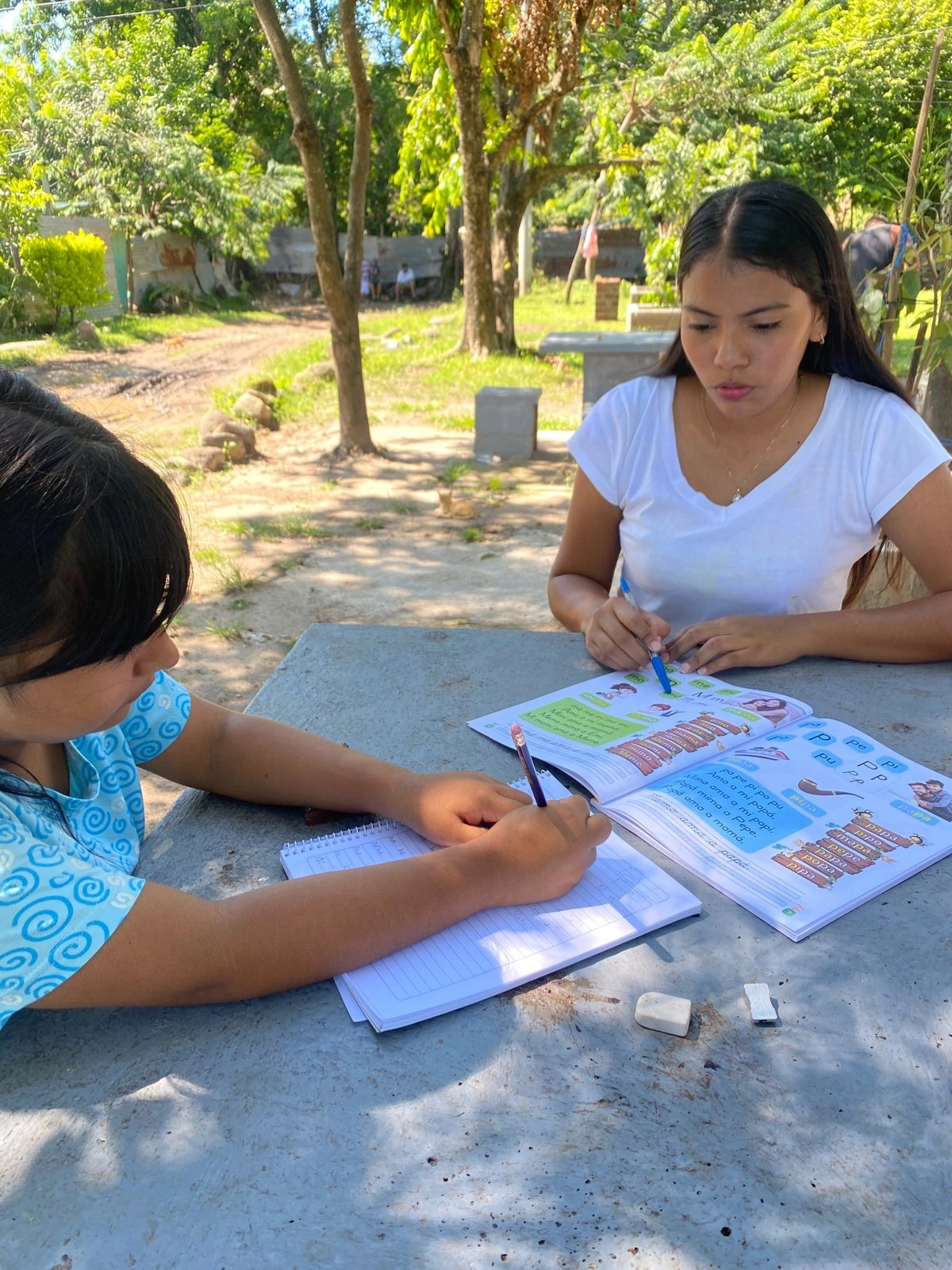 Educación OEF 2